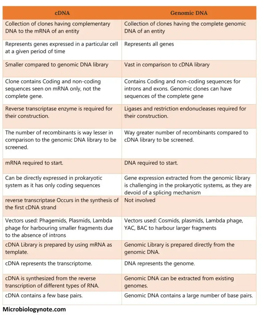 Difference Between cDNA and Genomic DNA – cdna vs genomic dna
