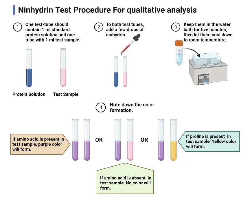 Ninhydrin Test Procedure For qualitative analysis
