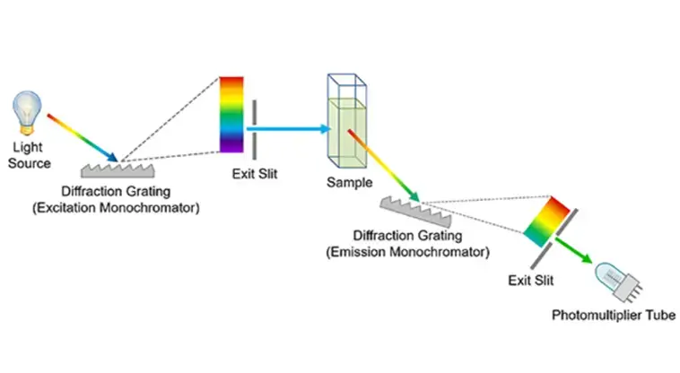 Spectrometer Vs Spectrophotometer - Biology Notes Online