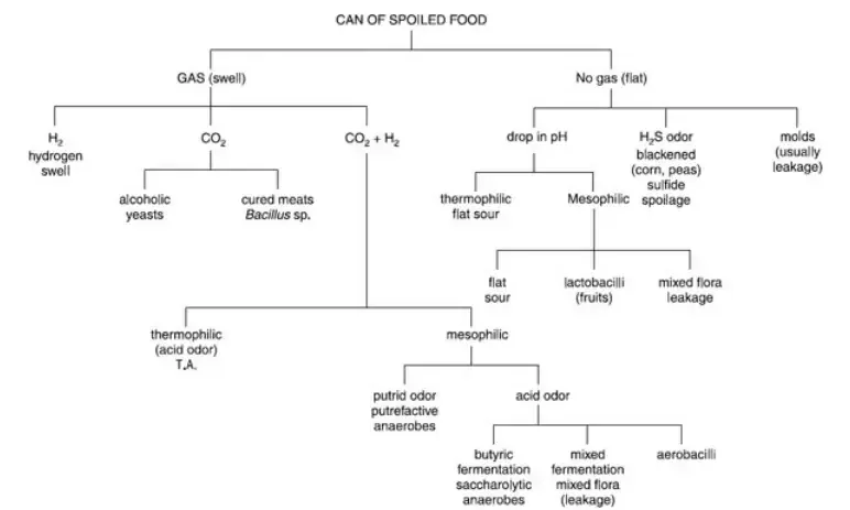 Unusual Types of Spoilage of Canned Foods 