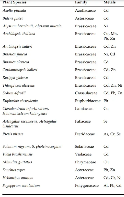 Examples of Hyperaccumulation
