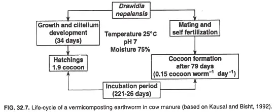 Vermicomposting