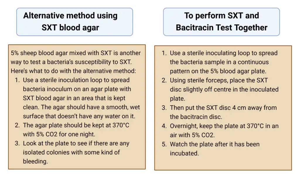 Procedure of SXT Test
