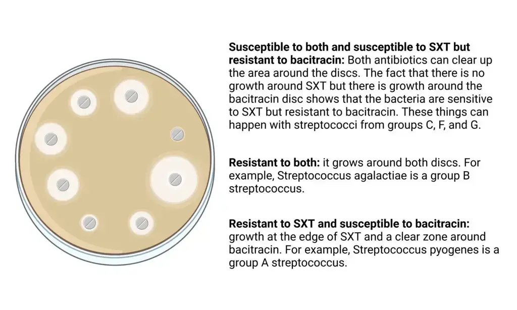 Result of SXT Test
