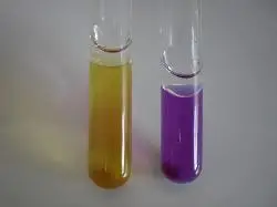 Lysine decarboxylase test results – negative (left) and positive (right)