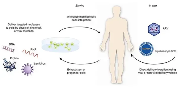Gene Therapy
