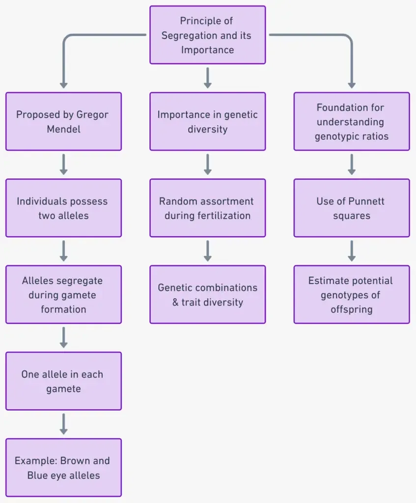Principle of Segregation and its Importance
