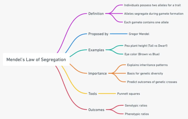 Mendel’s Law of Segregation - Definition, Principle, Examples ...