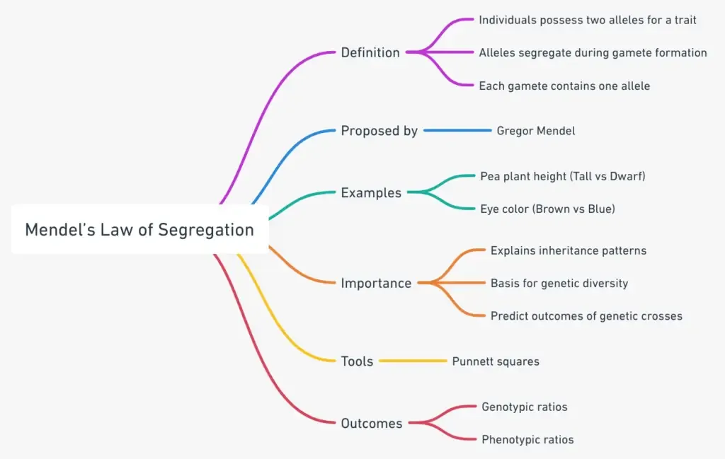 Mendel’s Law of Segregation Mindmap
