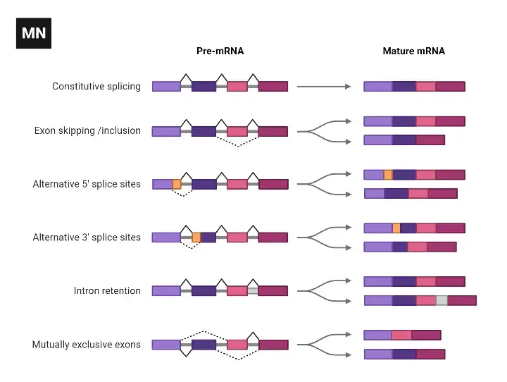 Splicing Process
