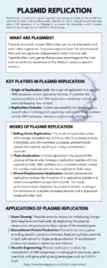 Plasmid Replication Infographic