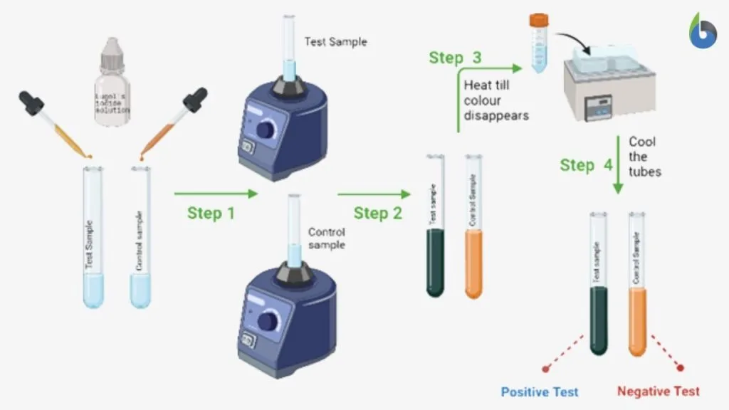 iodine test for starch diagram 