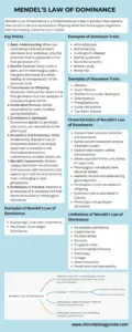 Mendel’s Law of Dominance Infographic