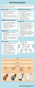 Multiple Alleles Infograph