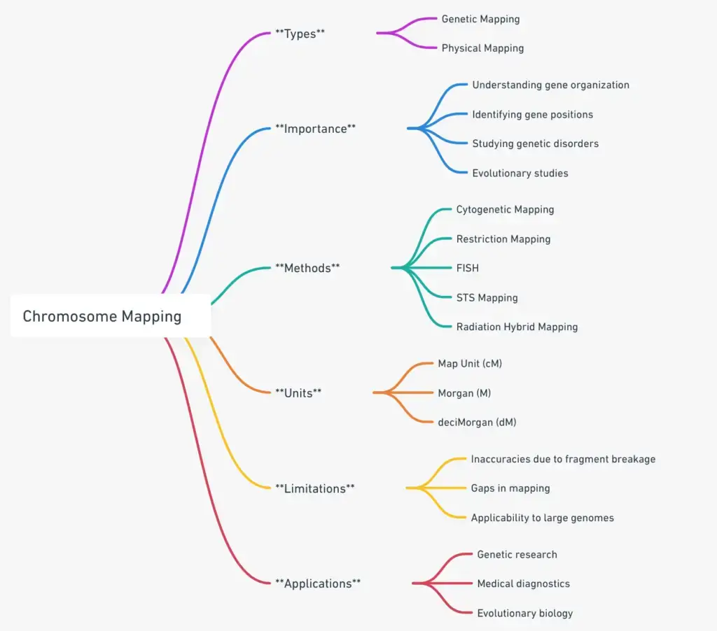 Chromosome Mapping mindmap