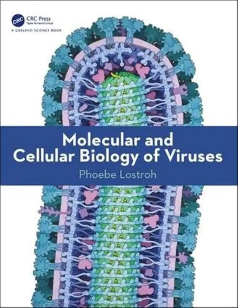 Molecular and Cellular Biology of Viruses 