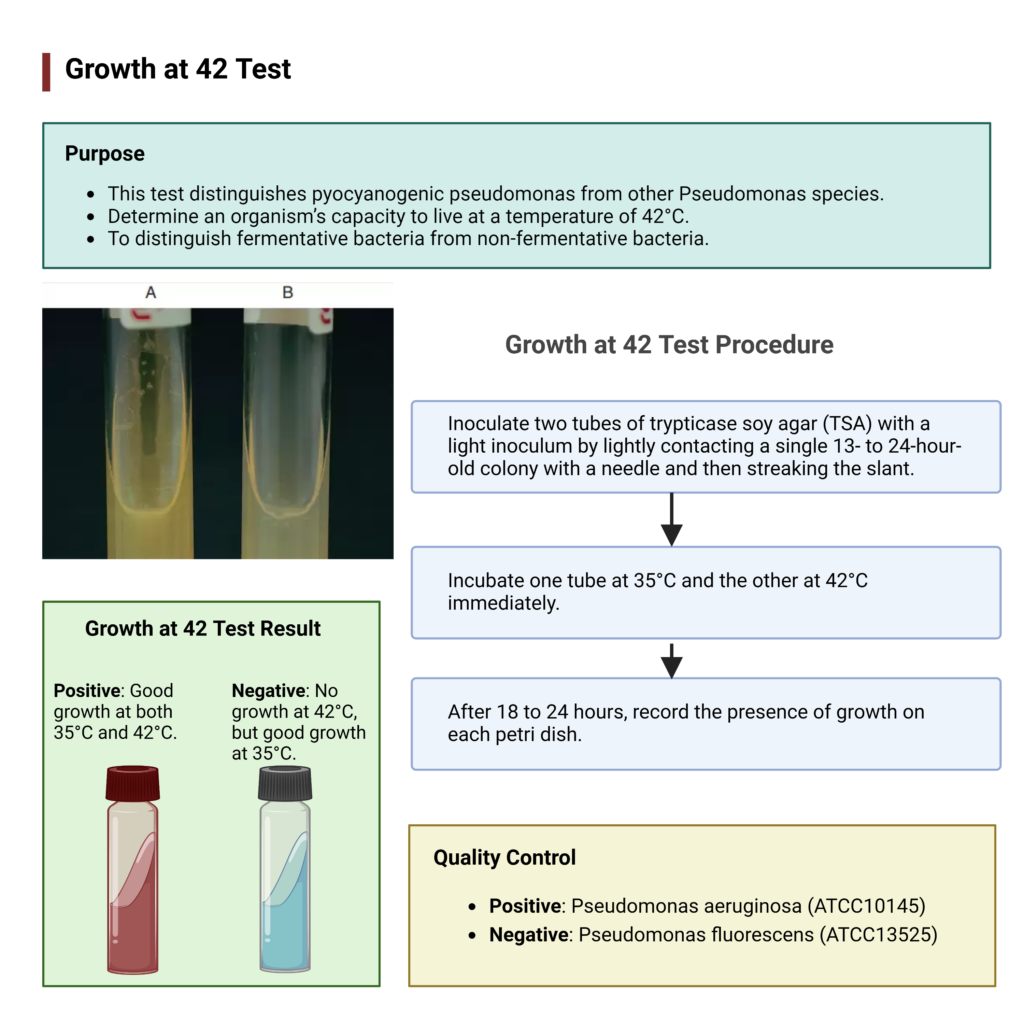 Growth at 42 Test – Growth of Non Fermentative Bacteria at 42°C
