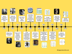 A timeline of key events leading up to the identification of DNA as the molecule responsible for heredity