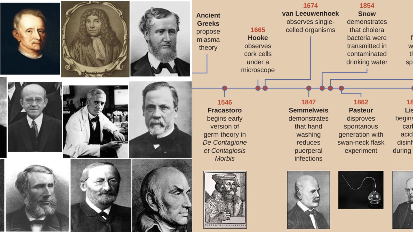 History of Microbiology 