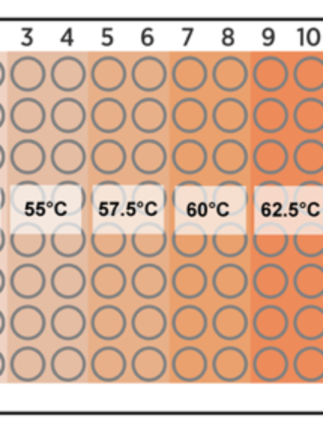 What is Gradient PCR?