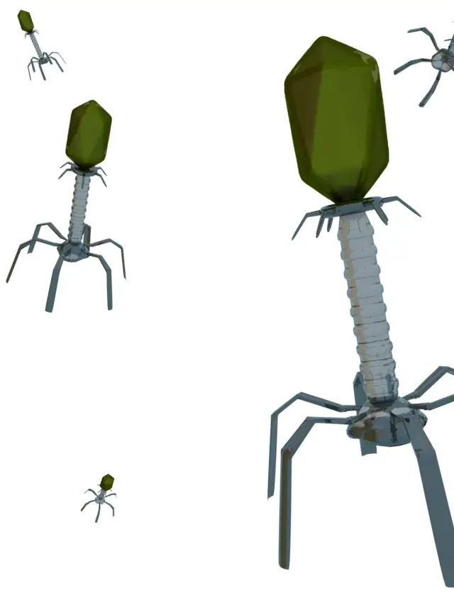 Research reveals plant pathogens repurpose phage elements for bacterial warfare