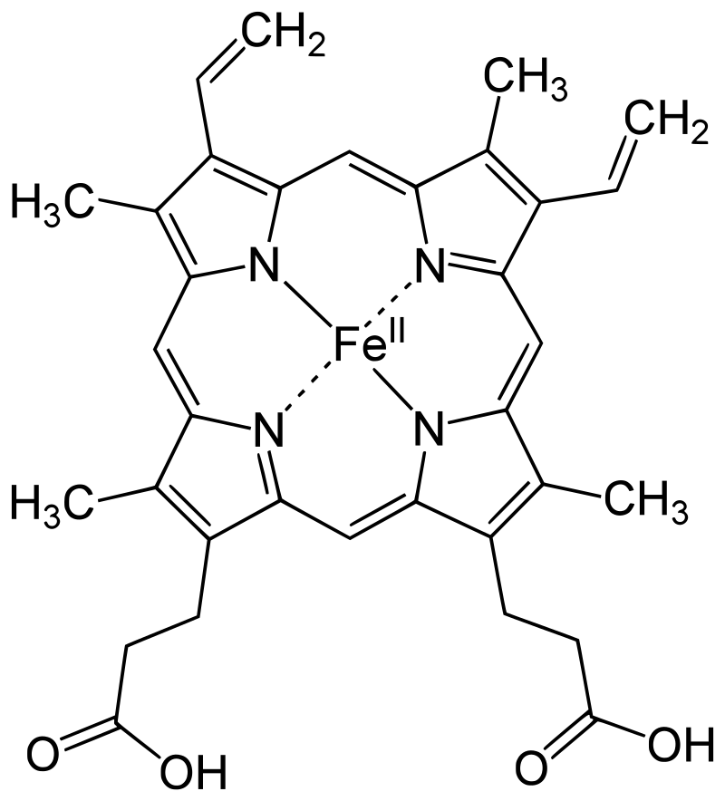 Heme b group
