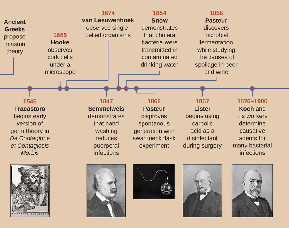 History of Microbiology 
