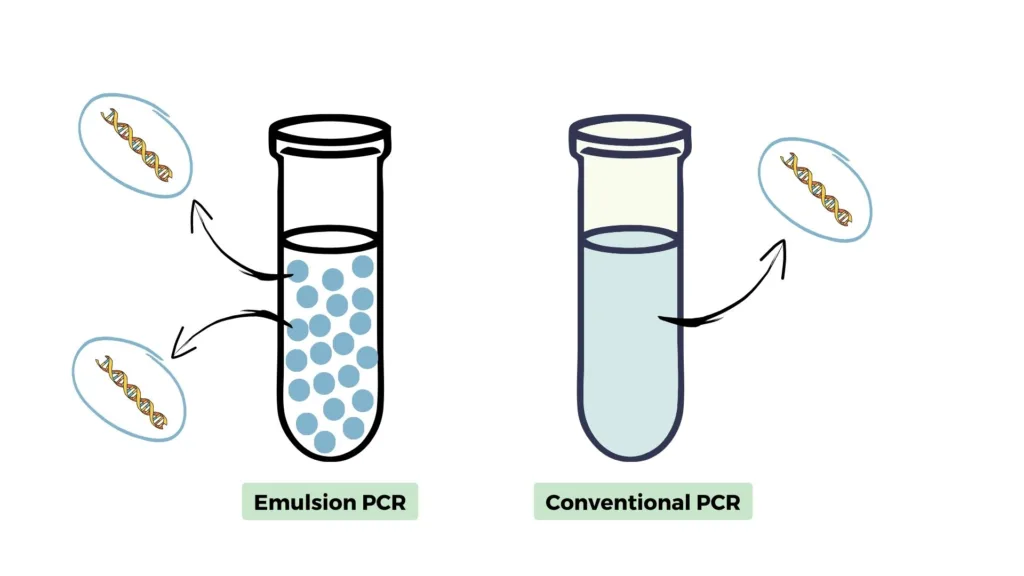 Difference between emulsion PCR and PCR.
