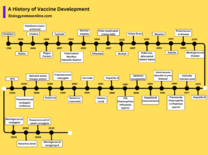 A History of Vaccine Development