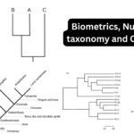 Biometrics, Numerical taxonomy and Cladistics