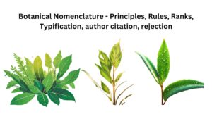 Botanical Nomenclature – Principles, Rules, Ranks, Typification, author citation, rejection