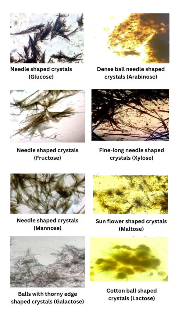 Result and Interpretation of Osazone Test