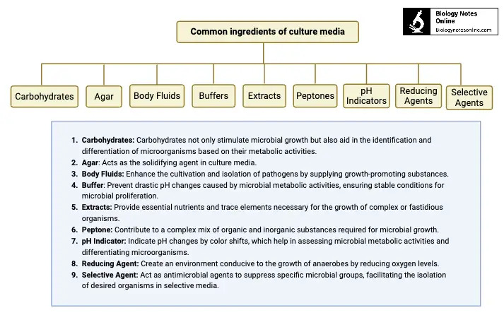 Common ingredients of culture media