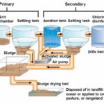 Difference Between primary and secondary sewage treatment