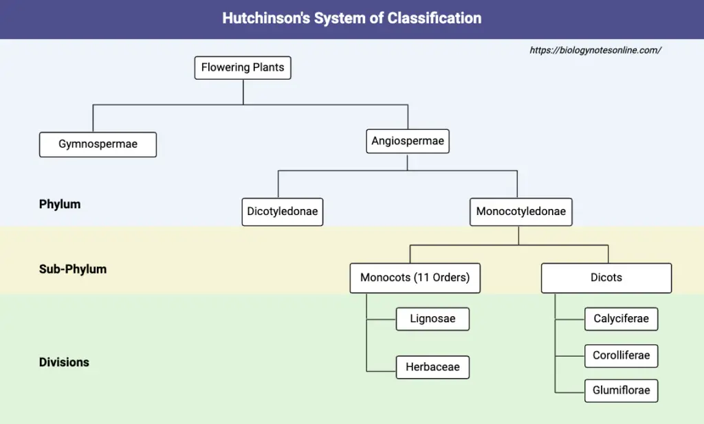 Hutchinsons System of Classification