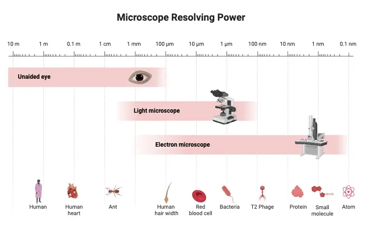 Microscope Resolving Power