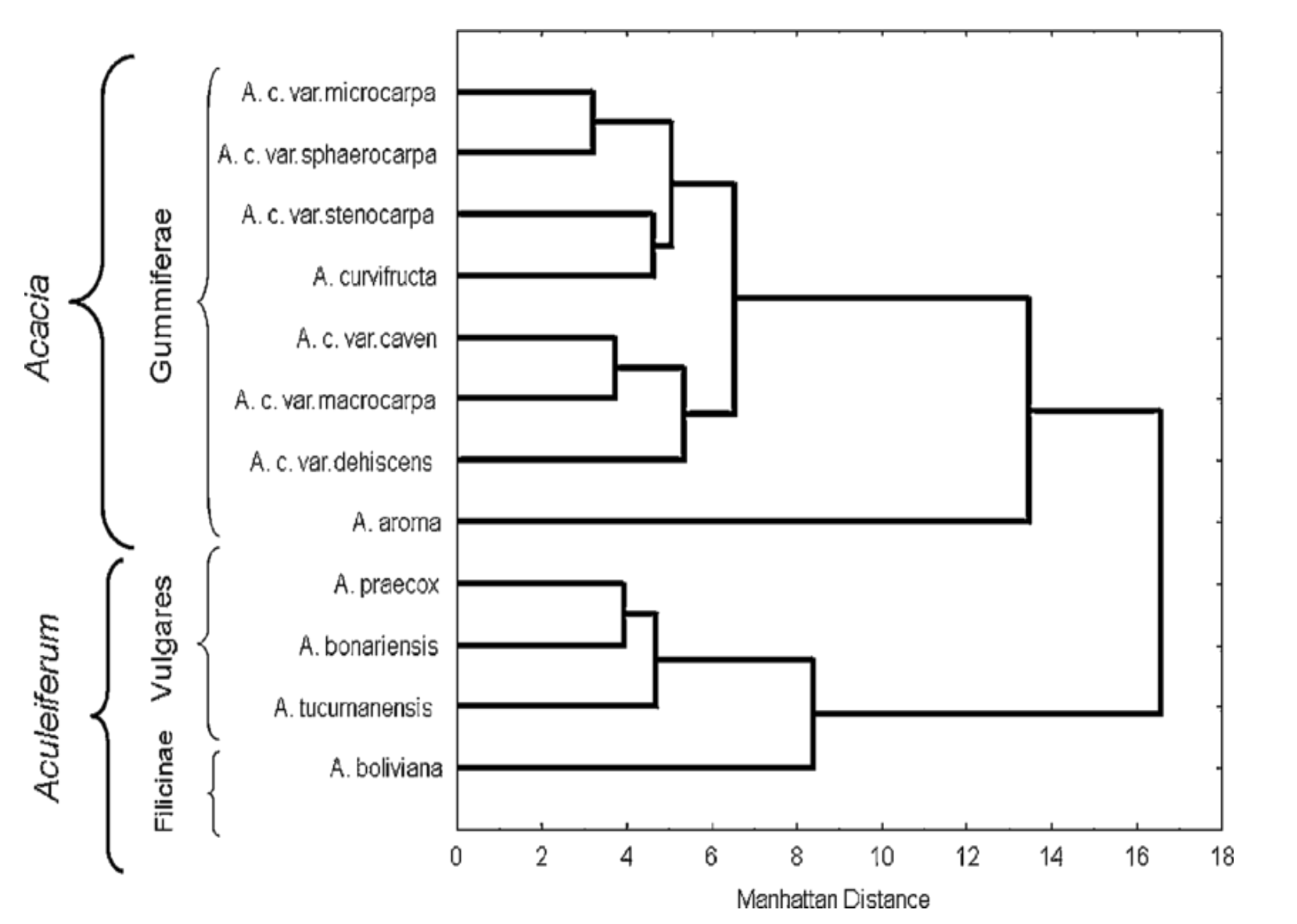 Biometrics, Numerical taxonomy and Cladistics - Biology Notes Online