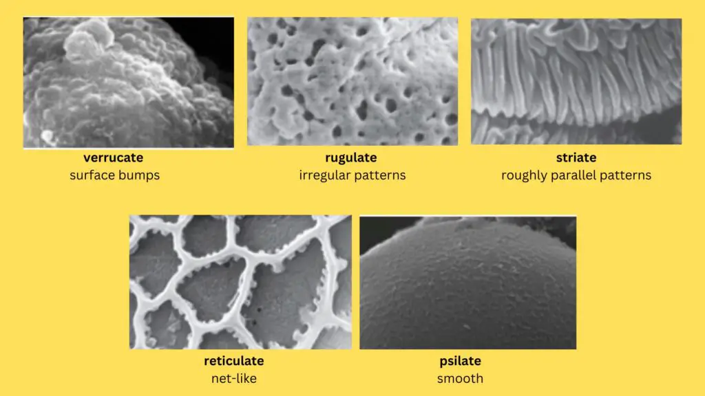 Classification Based on Surface Texture