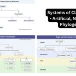 Systems of Classification - Artificial, Natural and Phylogenetic