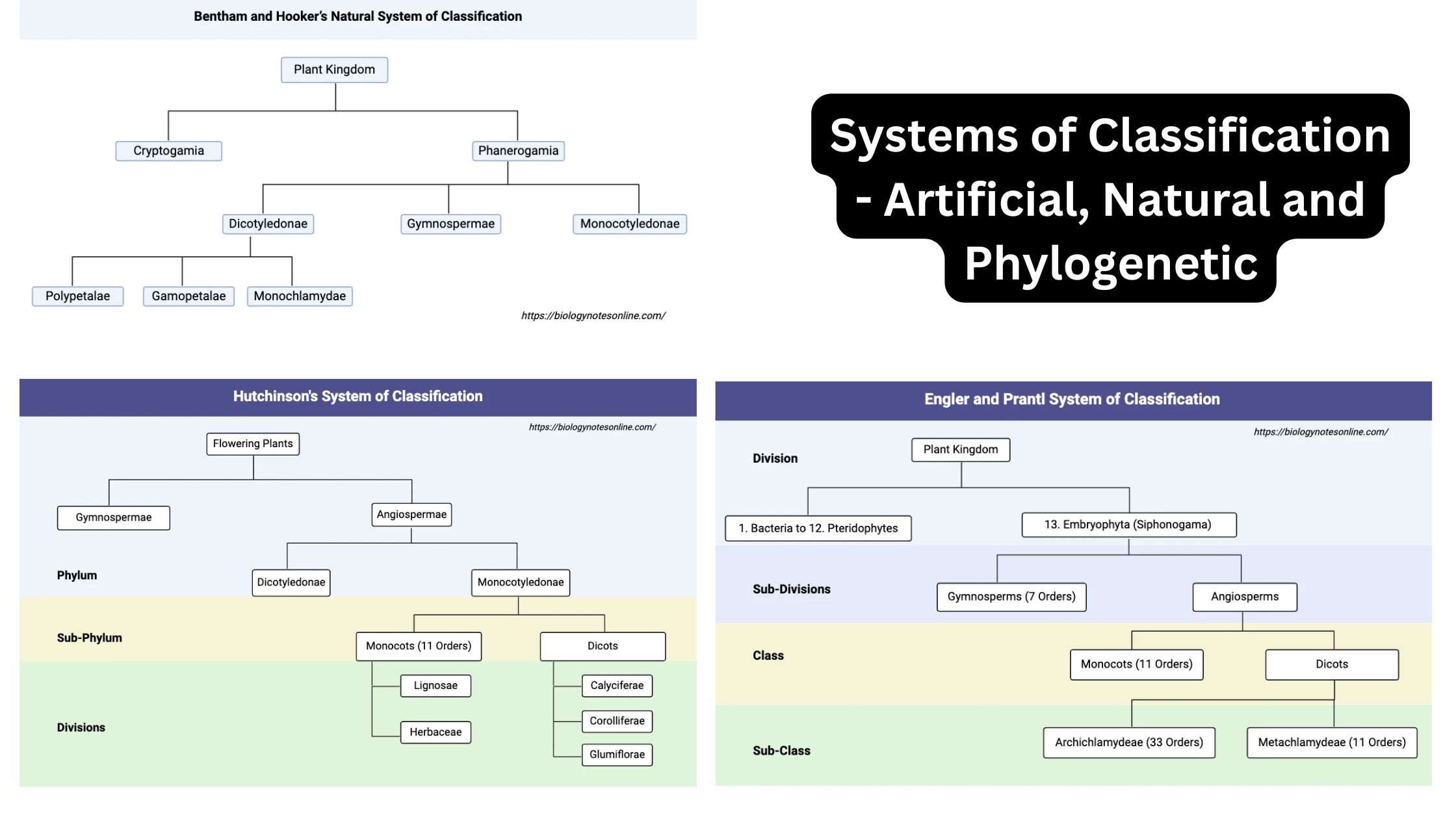 Systems of Classification - Artificial, Natural and Phylogenetic