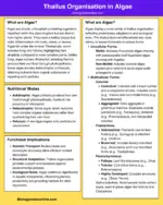 Thallus Organisation In Algae - Types, Structure, Examples - Biology 