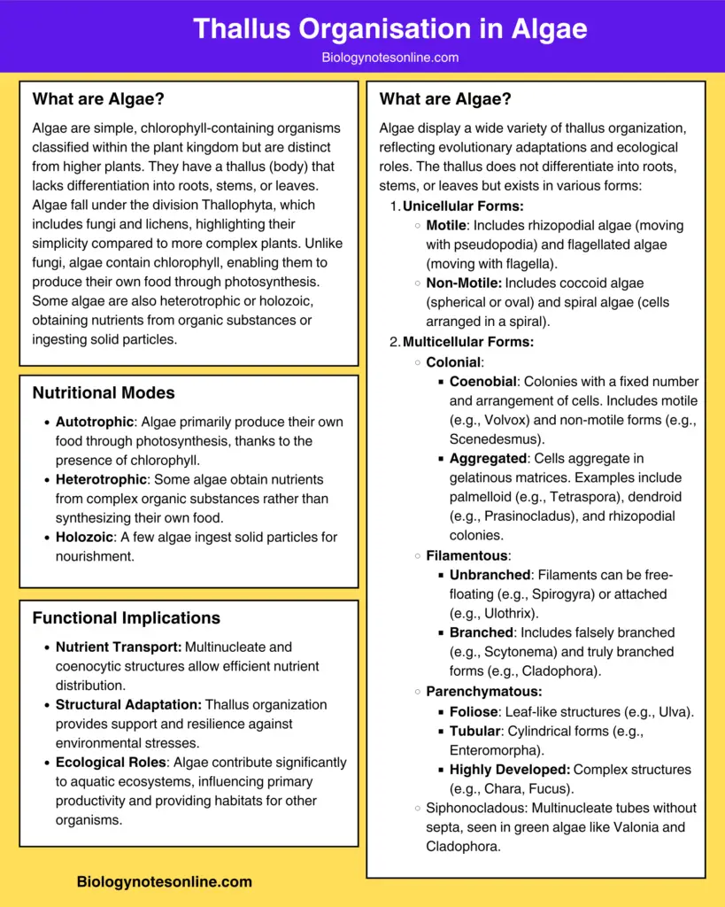 Cheatsheet on Thallus Organisation in Algae