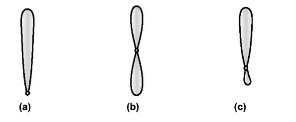 Chromosome structure- a) acrocentric, b) metacentric, c) telocentric. 