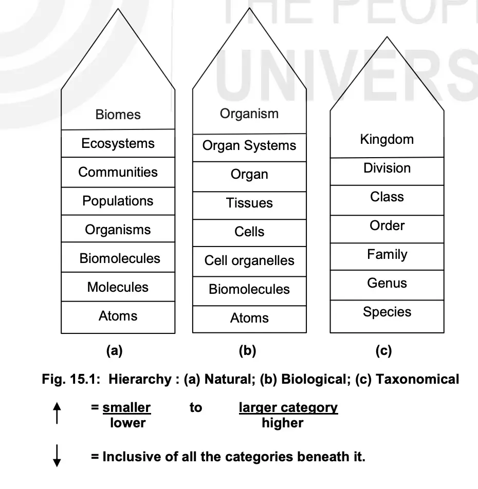 Categories and Hierarchy