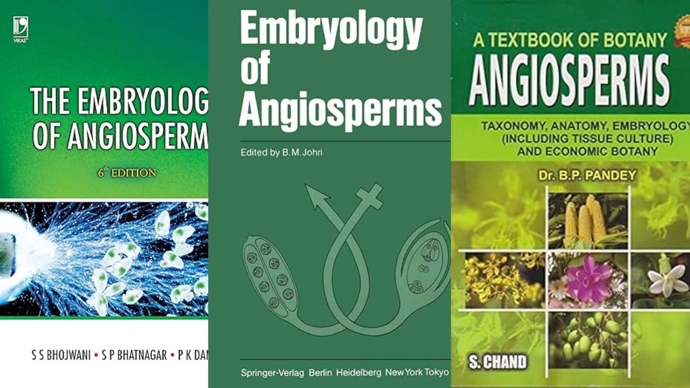 5 Best Books Plant Anatomy and Embryology