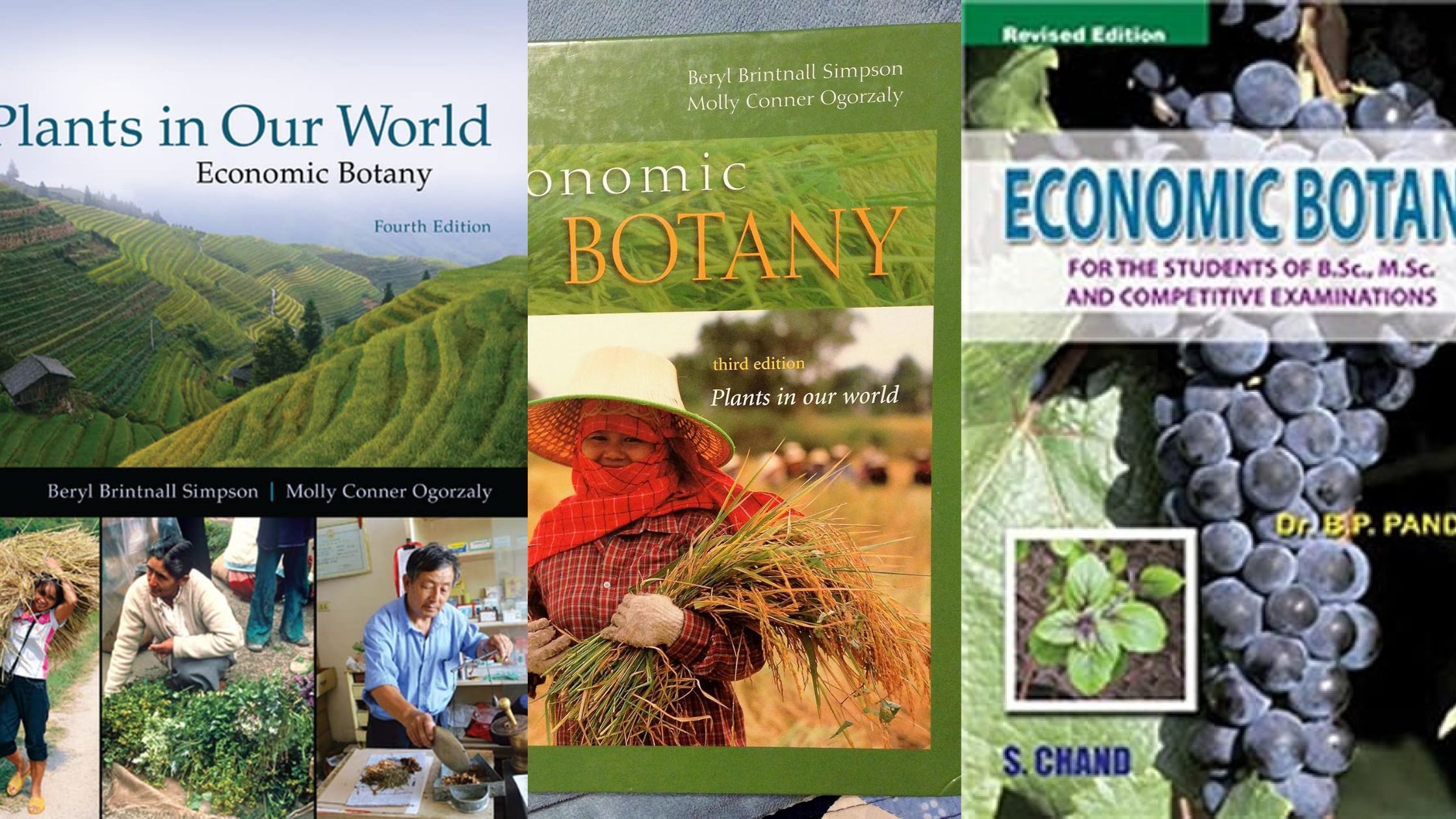 5 Best Books for Economic Botany