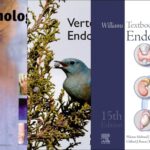 5 Best Books for Endocrinology