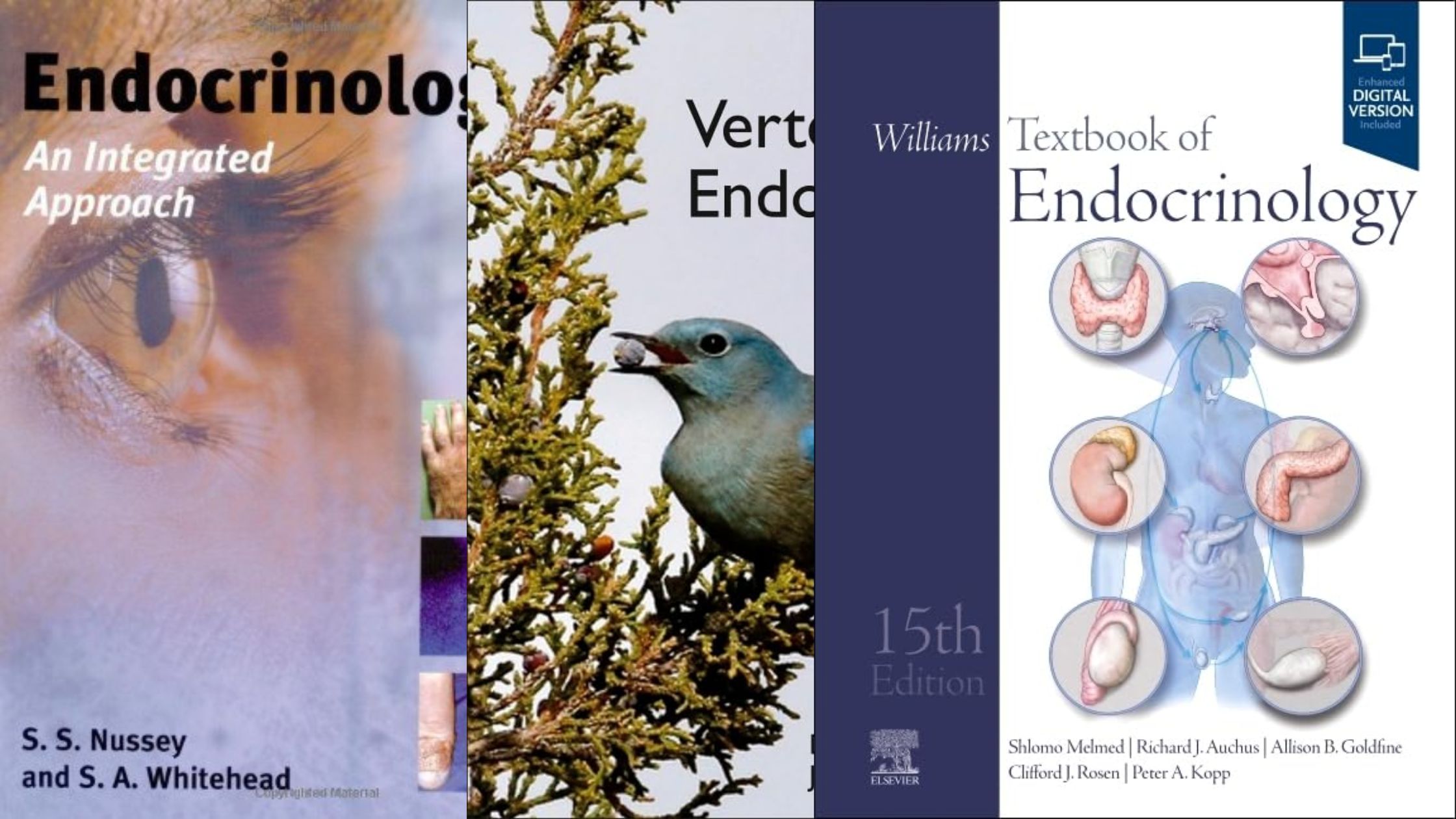 5 Best Books for Endocrinology