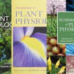 5 Best Books for Plant Physiology and Metabolism