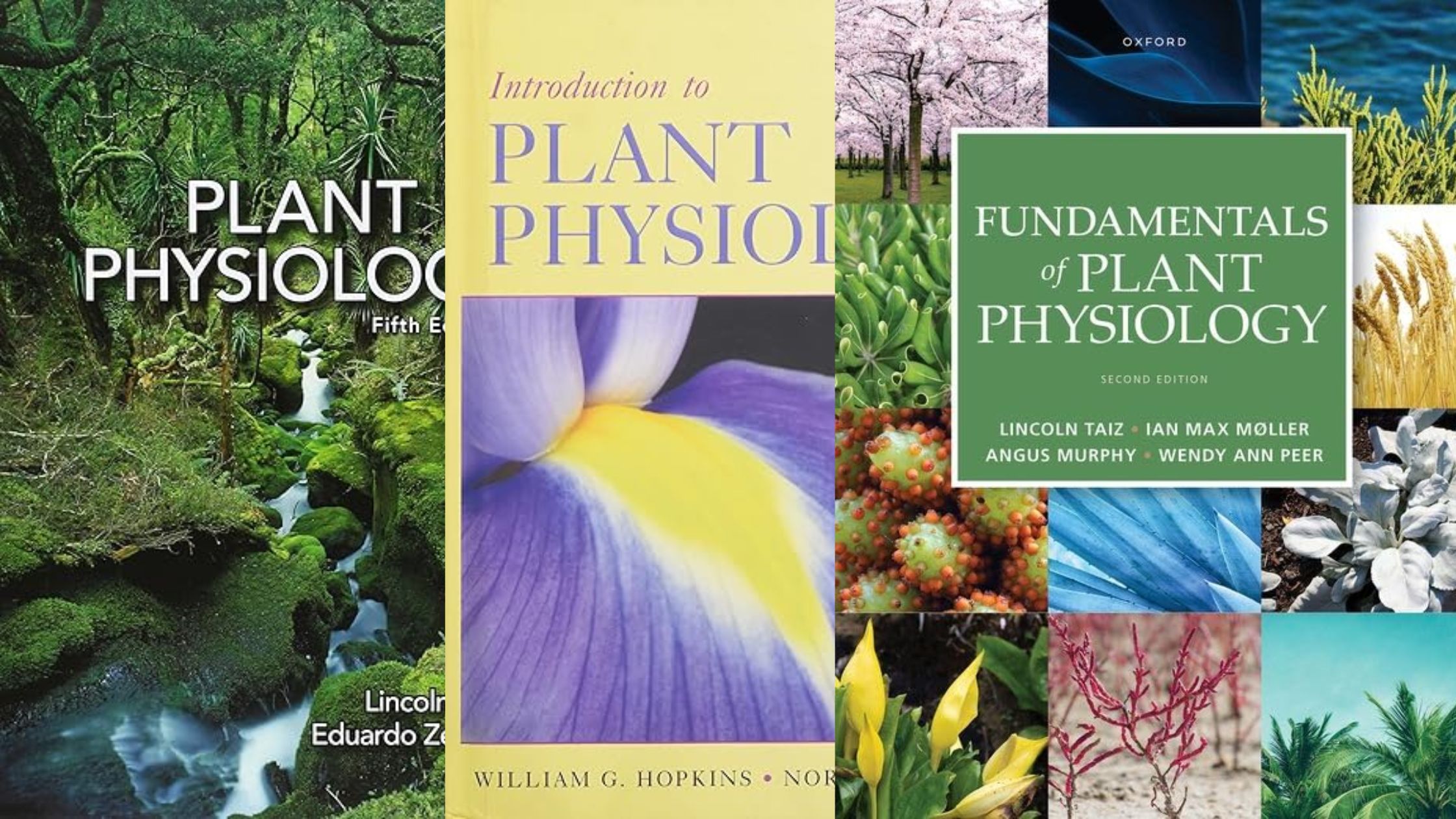 5 Best Books for Plant Physiology and Metabolism